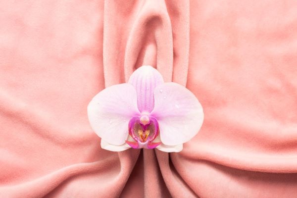 Imagem representativa da vulva feminina feita com tecido e orquídea. 